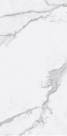 YA2412201