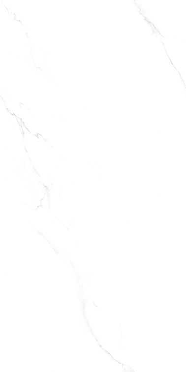 STJ12629